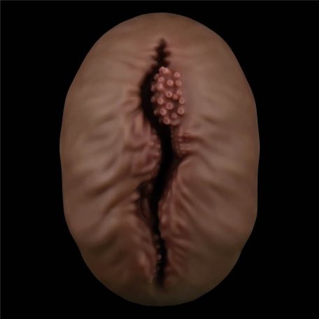Alien's Pie Masturbator #1 Black_B15O50_3