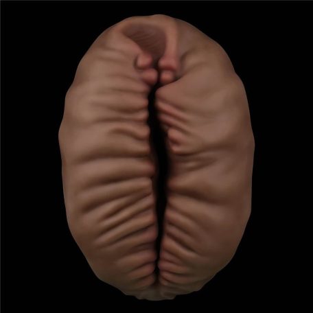 Alien's Pie Masturbator #2 Black_B15O50_3