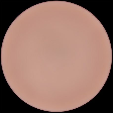 9'' Sliding Skin Pro II Dual Layer Silicone Dong
